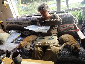 Two cats bookending Mead as he knits chainmail